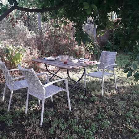 Joevo Het Pihenohaz Villa Poroszló Exteriör bild