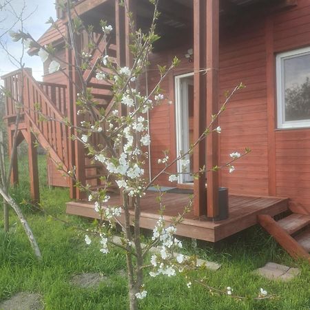 Joevo Het Pihenohaz Villa Poroszló Exteriör bild