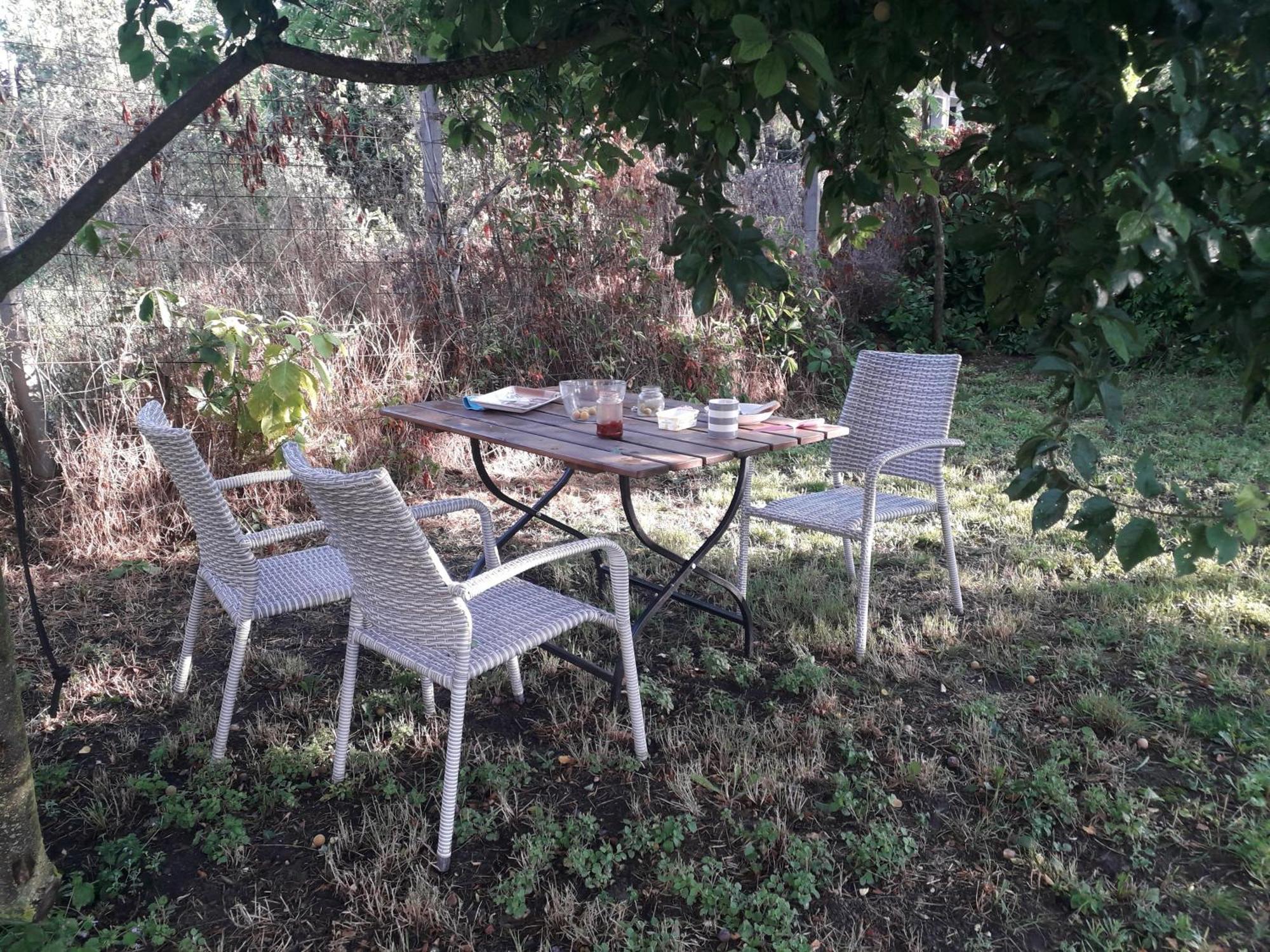 Joevo Het Pihenohaz Villa Poroszló Exteriör bild