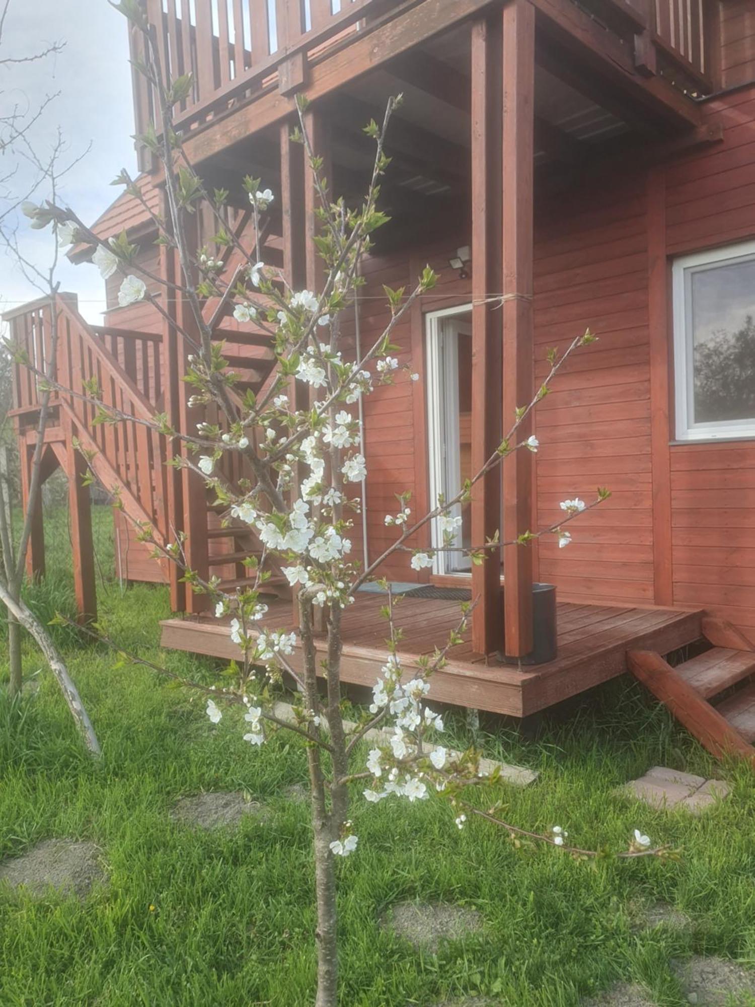 Joevo Het Pihenohaz Villa Poroszló Exteriör bild